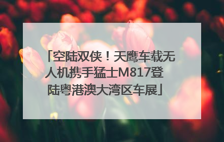 空陆双侠！天鹰车载无人机携手猛士M817登陆粤港澳大湾区车展