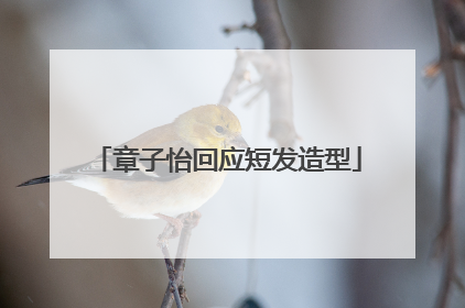 章子怡回应短发造型