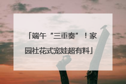 端午“三重奏”！家园社花式宠娃超有料
