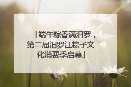 端午粽香满汨罗，第二届汨罗江粽子文化消费季启幕