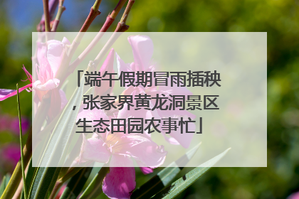 端午假期冒雨插秧，张家界黄龙洞景区生态田园农事忙
