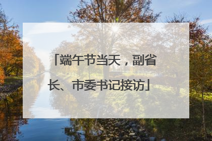 端午节当天，副省长、市委书记接访