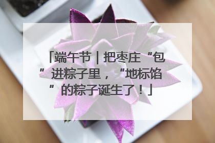 端午节｜把枣庄“包”进粽子里，“地标馅”的粽子诞生了！