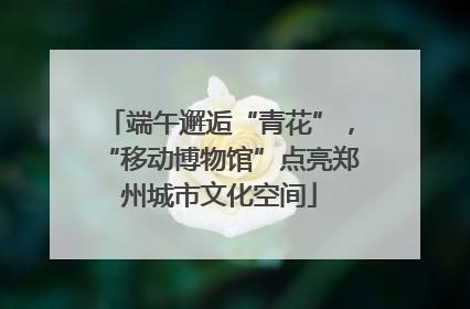 端午邂逅“青花”，“移动博物馆”点亮郑州城市文化空间