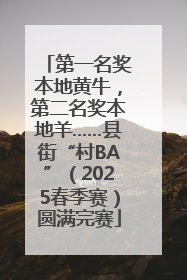 第一名奖本地黄牛，第二名奖本地羊……县街“村BA”（2025春季赛）圆满完赛