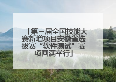 第三届全国技能大赛新增项目安徽省选拔赛“软件测试”赛项圆满举行