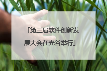 第三届软件创新发展大会在光谷举行