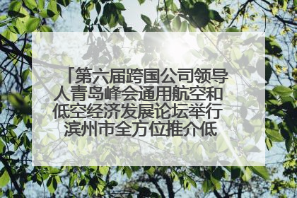 第六届跨国公司领导人青岛峰会通用航空和低空经济发展论坛举行 滨州市全方位推介低空经济发展优势