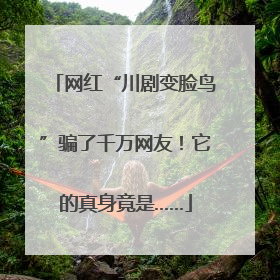 网红“川剧变脸鸟”骗了千万网友！它的真身竟是……