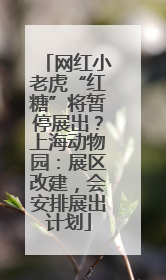 网红小老虎“红糖”将暂停展出？上海动物园：展区改建，会安排展出计划