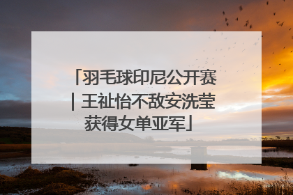 羽毛球印尼公开赛｜王祉怡不敌安洗莹 获得女单亚军