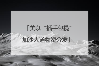 美以“插手包揽”加沙人道物资分发