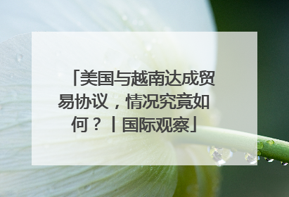 美国与越南达成贸易协议，情况究竟如何？丨国际观察