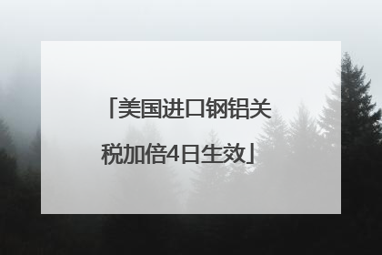美国进口钢铝关税加倍4日生效