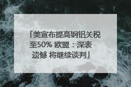 美宣布提高钢铝关税至50% 欧盟：深表遗憾 将继续谈判