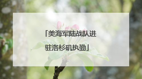 美海军陆战队进驻洛杉矶执勤