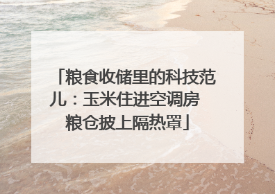 粮食收储里的科技范儿：玉米住进空调房 粮仓披上隔热罩