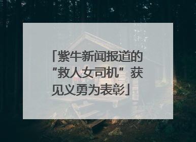 紫牛新闻报道的“救人女司机”获见义勇为表彰
