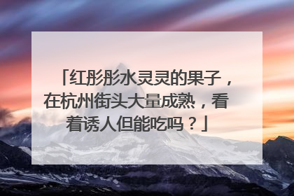 红彤彤水灵灵的果子，在杭州街头大量成熟，看着诱人但能吃吗？