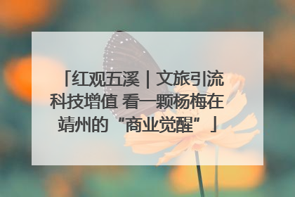 红观五溪｜文旅引流 科技增值 看一颗杨梅在靖州的“商业觉醒”