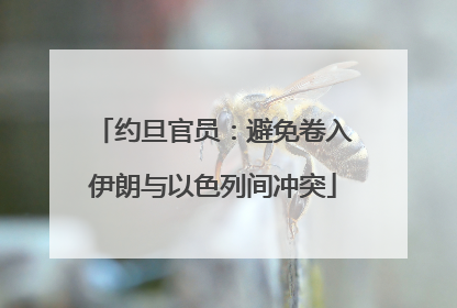 约旦官员：避免卷入伊朗与以色列间冲突