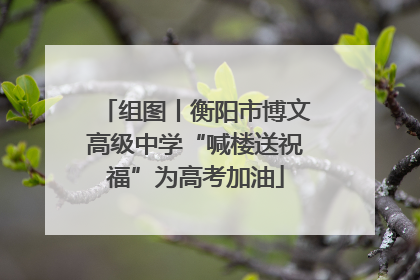 组图丨衡阳市博文高级中学“喊楼送祝福”为高考加油