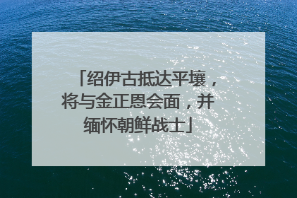 绍伊古抵达平壤，将与金正恩会面，并缅怀朝鲜战士