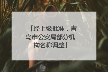 经上级批准，青岛市公安局部分机构名称调整