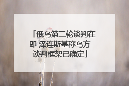 俄乌第二轮谈判在即 泽连斯基称乌方谈判框架已确定