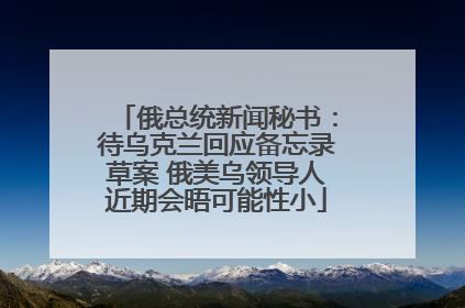 俄总统新闻秘书：待乌克兰回应备忘录草案 俄美乌领导人近期会晤可能性小