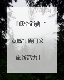 低空消费“点燃”厦门文旅新活力