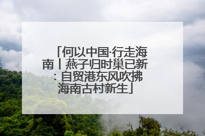 何以中国·行走海南丨燕子归时巢已新：自贸港东风吹拂 海南古村新生