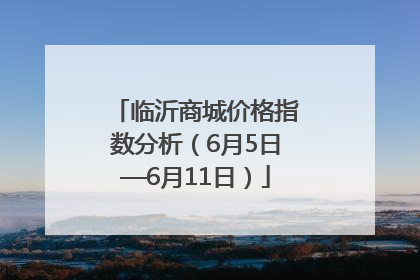 临沂商城价格指数分析（6月5日—6月11日）