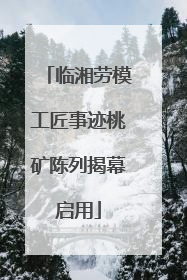临湘劳模工匠事迹桃矿陈列揭幕启用