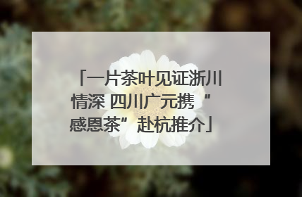 一片茶叶见证浙川情深 四川广元携“感恩茶”赴杭推介