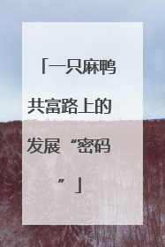 一只麻鸭共富路上的发展“密码”