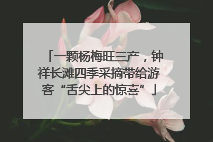 一颗杨梅旺三产，钟祥长滩四季采摘带给游客“舌尖上的惊喜”