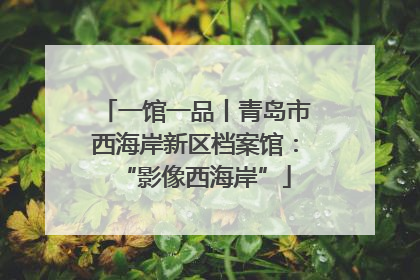 一馆一品丨青岛市西海岸新区档案馆：“影像西海岸”