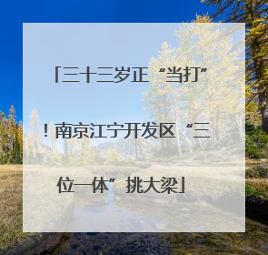 三十三岁正“当打”！南京江宁开发区“三位一体”挑大梁