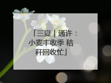 三夏｜通许：小麦丰收季 秸秆回收忙