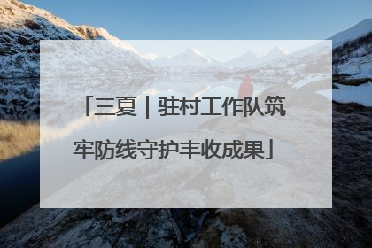 三夏｜驻村工作队筑牢防线守护丰收成果