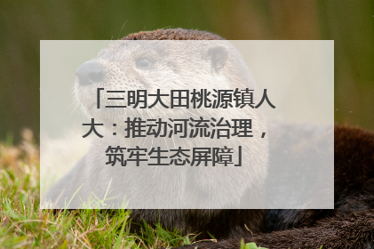 三明大田桃源镇人大：推动河流治理，筑牢生态屏障