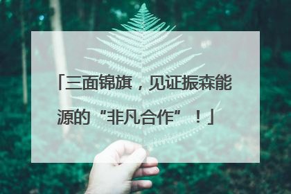 三面锦旗，见证振森能源的“非凡合作”！