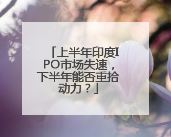 上半年印度IPO市场失速，下半年能否重拾动力？