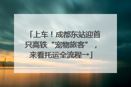 上车！成都东站迎首只高铁“宠物旅客”，来看托运全流程→