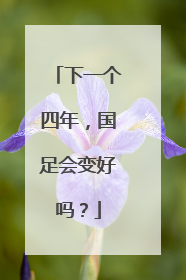 下一个四年，国足会变好吗？