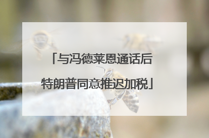 与冯德莱恩通话后 特朗普同意推迟加税