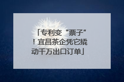 专利变“票子”！宜昌茶企凭它撬动千万出口订单