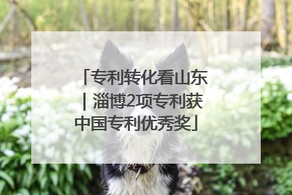 专利转化看山东｜淄博2项专利获中国专利优秀奖