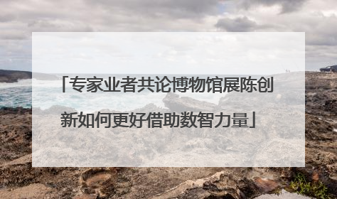 专家业者共论博物馆展陈创新如何更好借助数智力量